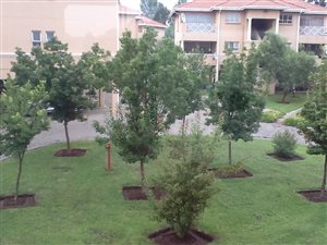 3 Bed Apartment in Three Rivers