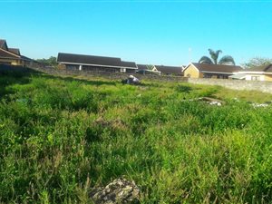 1000 m² Land available in Birdswood
