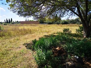 1.3 ha Land available in Rand Collieries