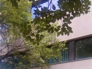 2000 m² Commercial space in Lynnwood