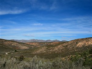 1.2 ha Land available in Willowmore