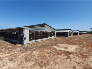 6.2 ha Farm in Paarl