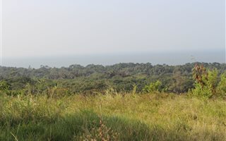 1102 m² Land available in Mtunzini