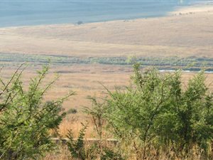 1.2 ha Land available in Machadodorp