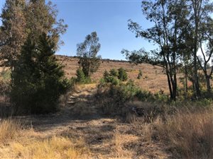 5 ha Land available in Tiegerpoort