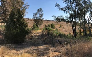 5 ha Land available in Tiegerpoort