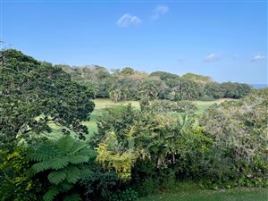 4 Bed House in Southbroom
