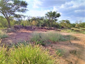 9184 m² Land available in Mokopane