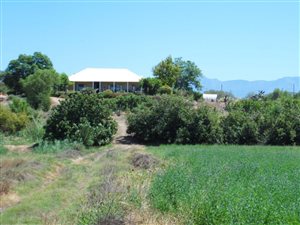 19 ha Farm in Calitzdorp
