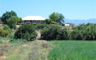 19 ha Farm in Calitzdorp
