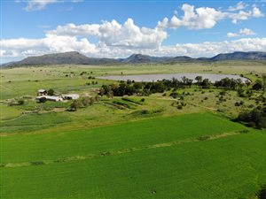 834 ha Farm in Queenstown