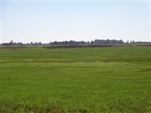 693 ha Farm in Grootfontein Estate