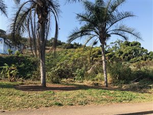 877 m² Land available in Sea Cow Lake
