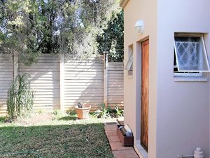 Bachelor apartment in Lydiana