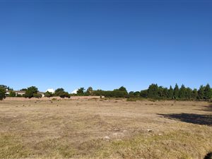 9778 m² Land available in Vierlanden