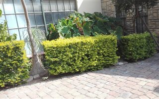 4 Bedroom House in Annadale