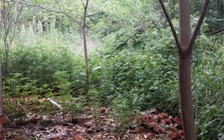 1000 m² Land available in Greytown
