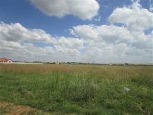 1115 m² Land available in Springs Central