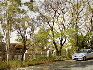 3 Bed House in Quellerina