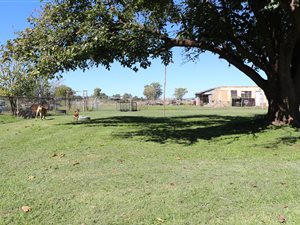 2.4 ha Farm in Vyfhoek