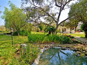 8569 m² Farm in Bellairspark