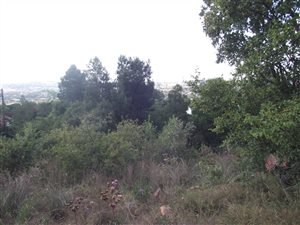 1 ha Farm in Doringkloof