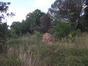 1 ha Farm in Doringkloof