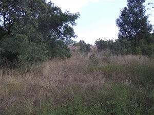 1 ha Farm in Doringkloof