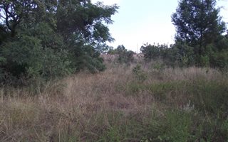1 ha Farm in Doringkloof