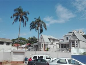 200 m² Office Space in Musgrave