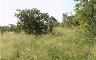 913 m² Land available in Seasons Lifestyle Estate