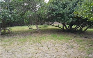 816 m² Land available in Great Brak River