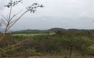 814 m² Land available in Riverside Park