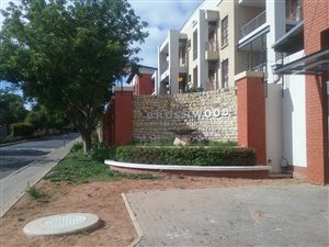 1 Bed Apartment in Ferndale