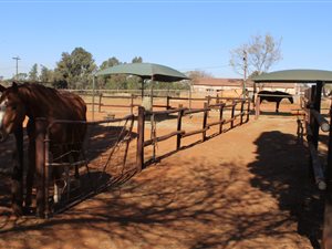 4.2 ha Farm in Petit