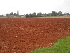 2 ha Land available in Pomona AH