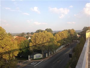 1 Bed Apartment in Illovo
