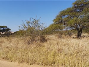 1 ha Farm in Bela-Bela (Warmbaths)