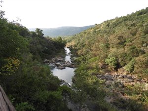 24 ha Farm in Middelburg Central