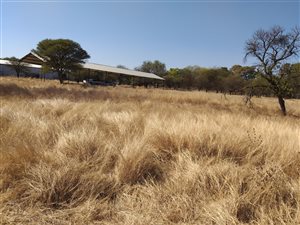 1 ha Land available in Wonderboom AH