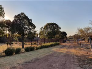 8.6 ha Smallholding in Tierpoort