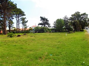 1477 m² Land available in Hermanus Heights