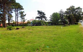 1477 m² Land available in Hermanus Heights
