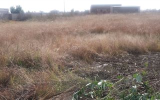 1115 m² Land available in Welgedacht