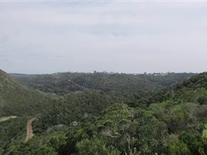6 ha Farm in Victoria Bay
