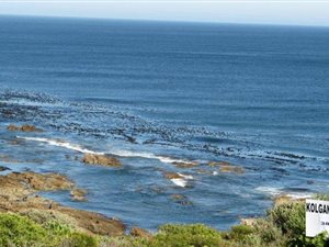 619 m² Land available in Gansbaai and surrounds