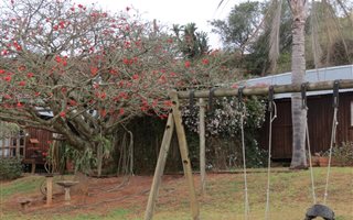 2.6 ha Farm in Peacevale