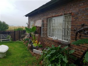 8 ha Farm in Stella