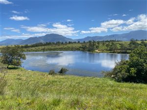 119 ha Farm in George Central