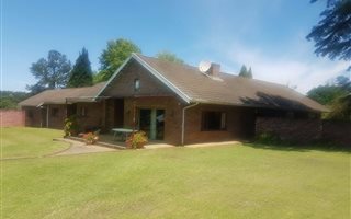 6.1 ha Farm in Greytown